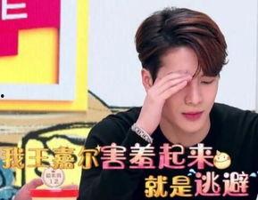 王嘉尔爆料马来西亚视频,一场别开生面的文化交流之旅 第3张 王嘉尔爆料马来西亚视频,一场别开生面的文化交流之旅 第3张